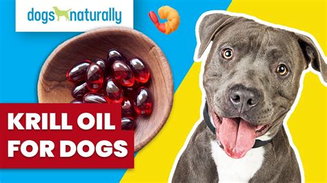 krill oil for dogs reviews.